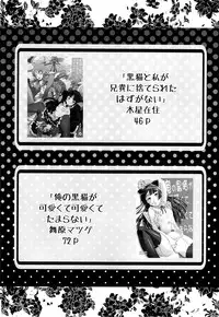 [N.N.F.S (Various)] Gokou Ruri 100P (Ore no Imouto ga Konna ni Kawaii Wake ga Nai)