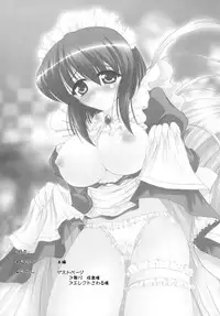 [C.R's NEST (C.R)] Siesta to Ofuro ni Hairitai (Zero no Tsukaima)