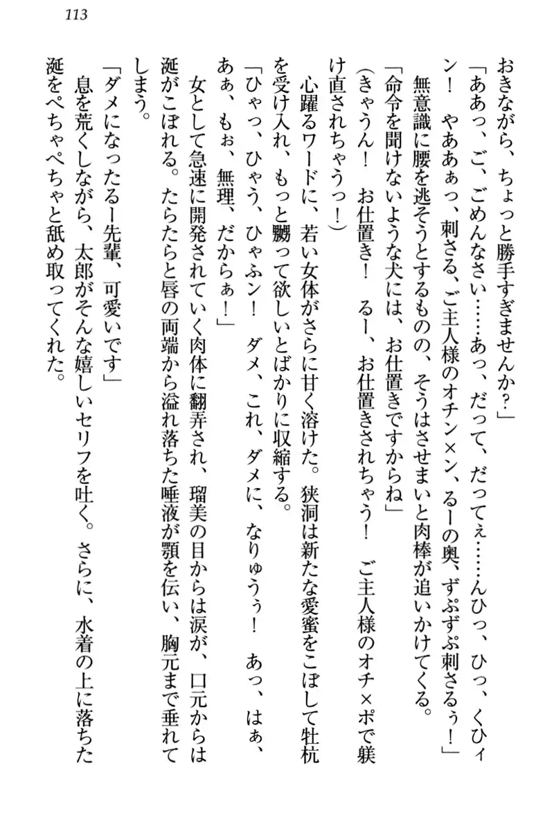 Boku to Ruu Senpai no Houkago Choukyou Nisshi - Kyou mo Watashi o Shitsukenasai!