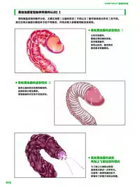 How to Draw the Shokusyu