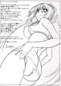 (C80) [STUDIO TRIUMPH (Mutou Kenji)] ASTRAL BOUT Ver. 21.5 (IS <Infinite Stratos>)