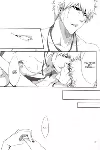 (Bleach Spark) [Gyoukou (Rioka Masaki)] Souryuu Yuugi | Play of the Twin Dragons (Bleach) [English] [Anki-Chan]