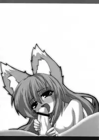 (C76) [Kinakomochi (Uryu Sango)] Ookami no Kansatsuki (Spice and Wolf)