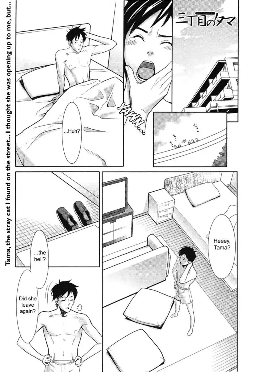 Tama from Third Street