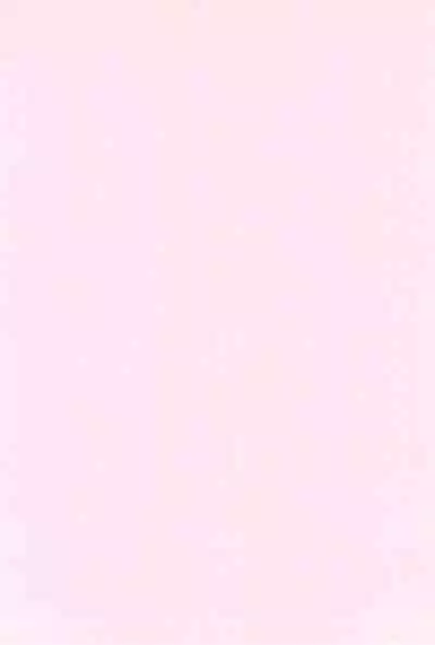 Koufuku no Hanayome Koufuku no Hanamuko